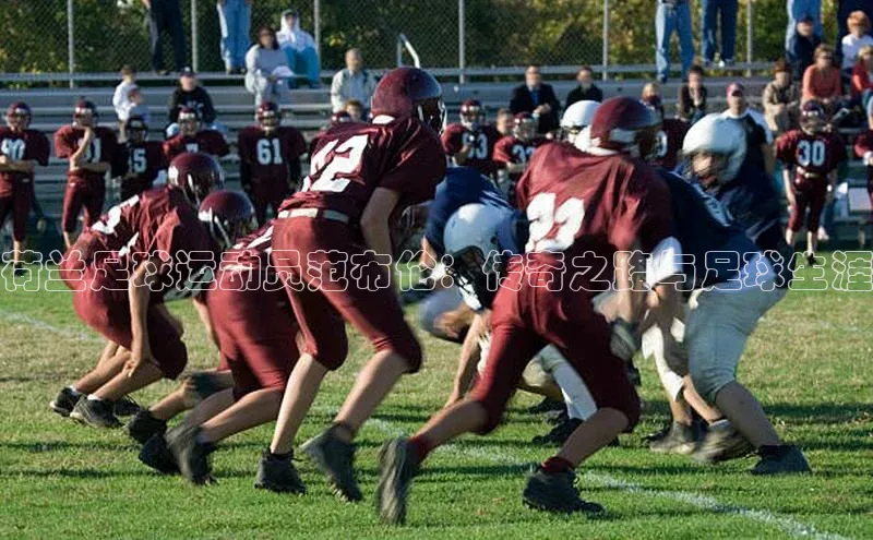 lw乐玩平台宣亚国际荷兰足球运动员范布伦：传奇之路与足球生涯