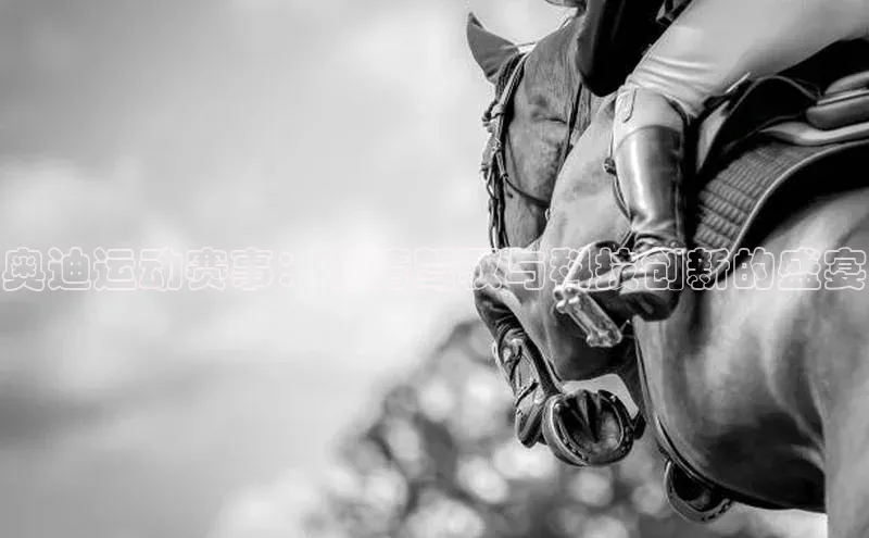 乐玩国际官方唯一官网百度游戏开放平台奥迪运动赛事：激情驾驭与科技创新的盛宴