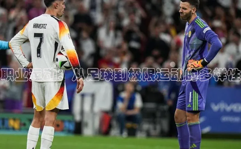 职业运动：从足球到极限运动的多样性