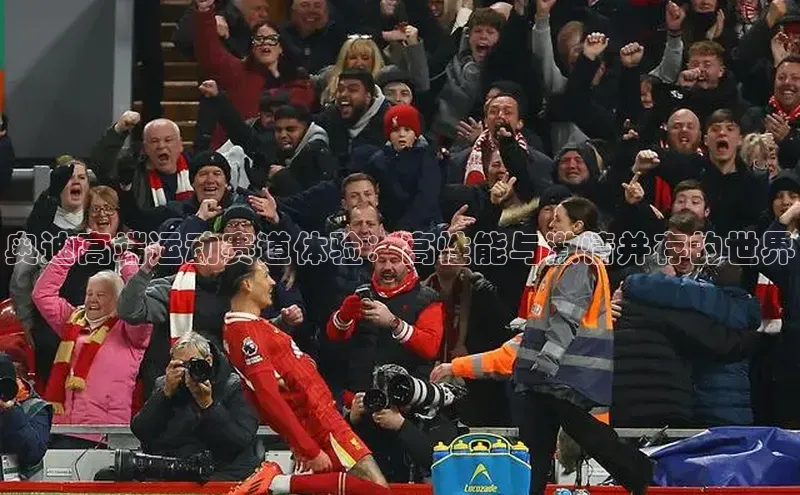 奥迪高端运动赛道体验：高性能与激情并存的世界