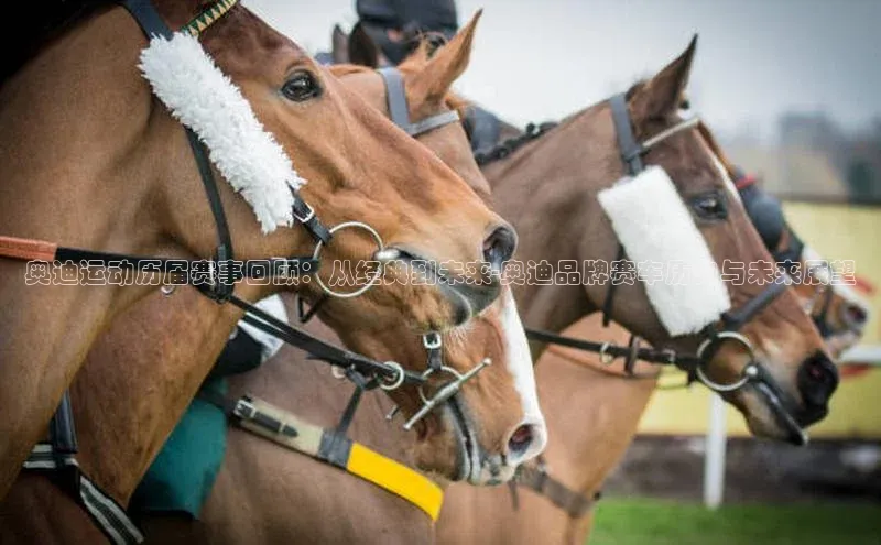 奥迪运动历届赛事回顾：从经典到未来-奥迪品牌赛车历史与未来展望