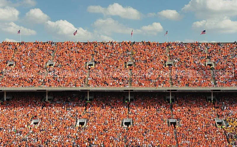 超越边界：社会运动与体育赛事的全新交汇点-社会运动赛事排行榜揭晓