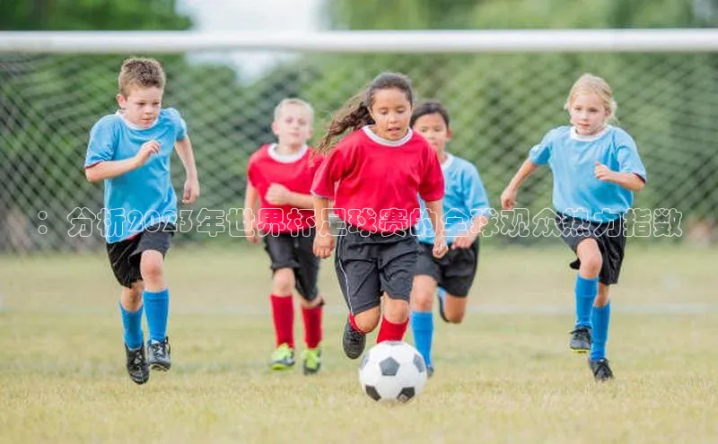 ：分析2023年世界杯足球赛的全球观众热力指数