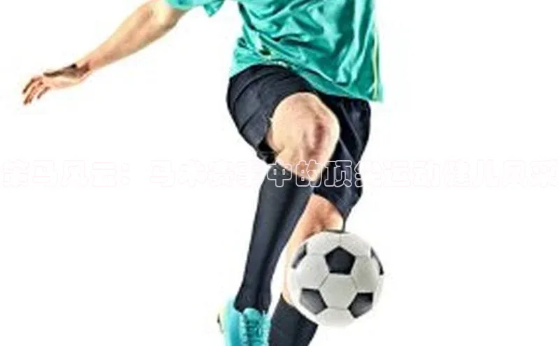 策马风云：马术赛事中的顶尖运动健儿风采