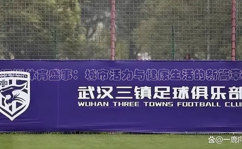 深圳体育盛事：城市活力与健康生活的新篇章