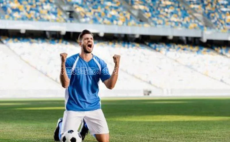 乐玩app官网入口