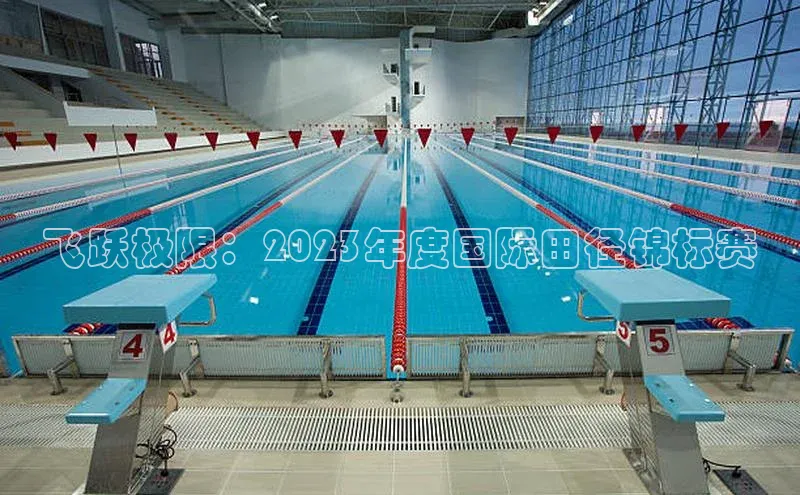 飞跃极限：2023年度国际田径锦标赛